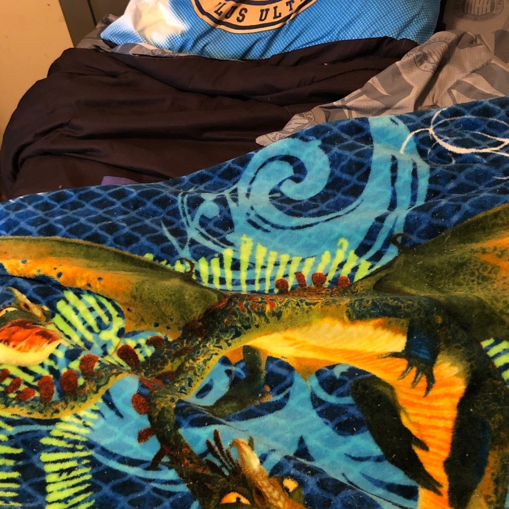 Vibrant Blue Ocean Animal Print Plush Throw how to train your dragon